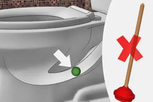 Hút bể phốt tại Thanh Trì giá rẻ – Chi nhánh công ty Bình An