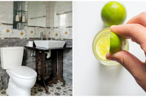 Tổng hợp cách khử mùi hôi nhà vệ sinh hiệu quả tự nhiên an toàn
